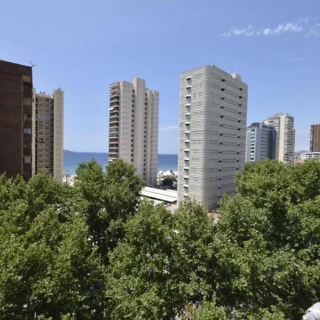 Pdo. Mediterráneo - Arena Benidorm